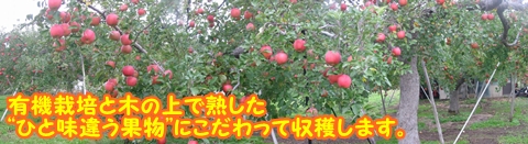 トップイメージ#2
